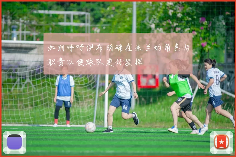 加利呼吁伊布明确在米兰的角色与职责以便球队更好发挥